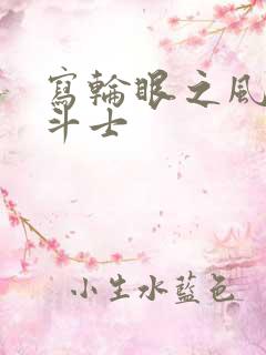 写轮眼之风流圣斗士