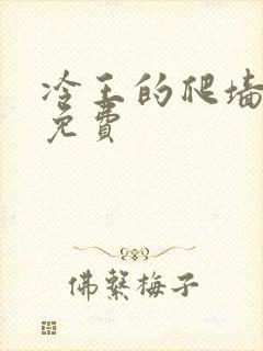 冷王的爬墙丑妃免费