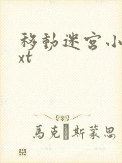 移动迷宫小说txt