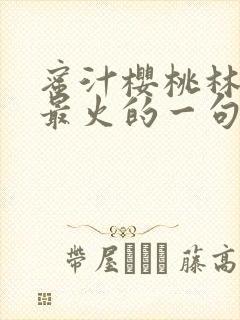 蜜汁樱桃林妙妙最火的一句