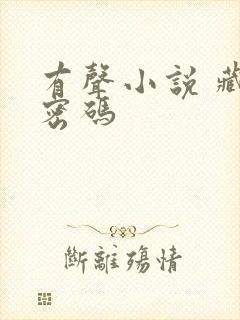 有声小说 藏地密码