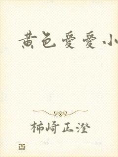 黄色爱爱小说