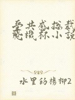 受共感总裁攻的飞机杯小说叫什么