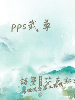 pps武尊