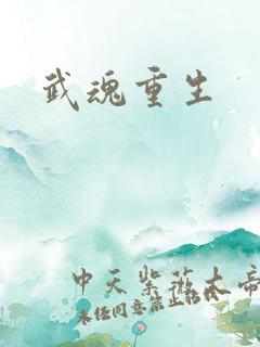 武魂重生