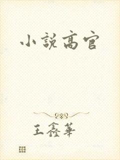 小说高官