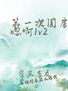 第一次圆房～h嗯啊1v2
