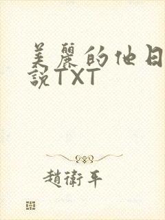 美丽的他日剧小说TXT