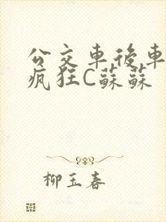 公交车后车座的疯狂C苏苏