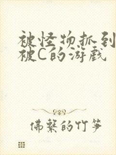 被怪物抓到就会被C的游戏