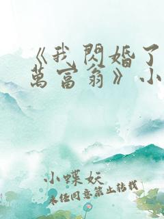 《我闪婚了个亿万富翁》小说