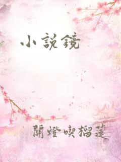 小说镜