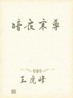 暗夜寒尊