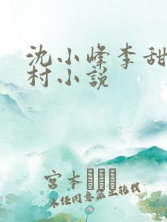沈小峰李甜的乡村小说