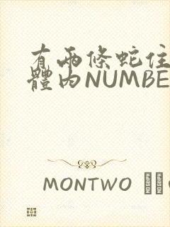 有两条蛇住在我体内NUMBER7