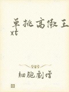单挑高傲王子txt