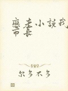 恋老小说我和老市长