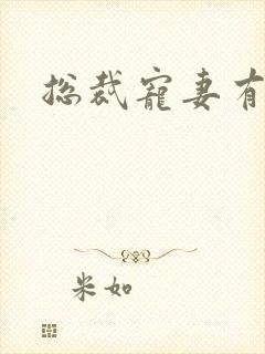 总裁宠妻有点忙