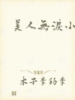 美人无泪小说