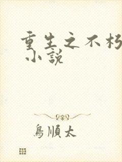重生之不朽传奇 小说