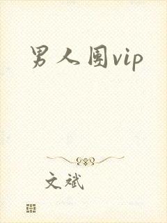 男人团vip