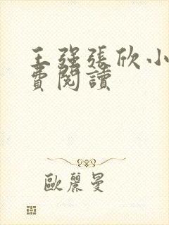 王强张欣小说免费阅读