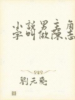 小说男主角的名字叫做陈志远