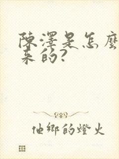 陈泽是怎么火起来的?