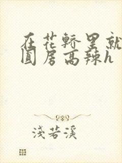 在花轿里就开始圆房高辣h