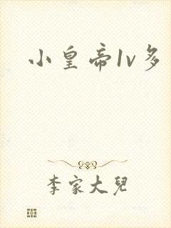 小皇帝1v多