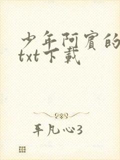 少年阿宾的故事txt下载