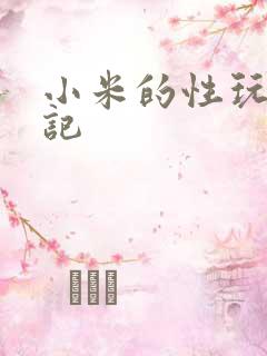 小米的性玩具日记
