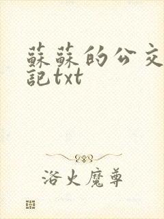 苏苏的公交车日记txt