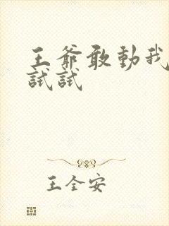 王爷敢动我妈咪试试