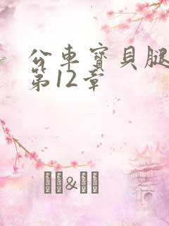 公车宝贝腿开点第12章