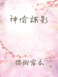 神偷谍影