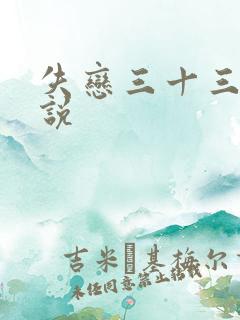 失恋三十三天小说