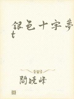 银色十字梦txt