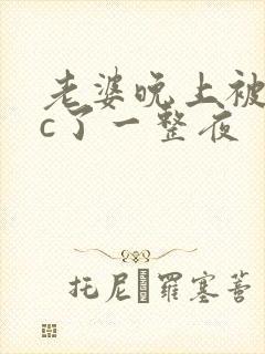 老婆晚上被躁狂c了一整夜