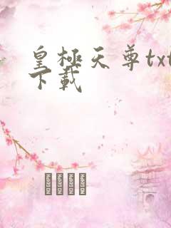 皇极天尊txt下载