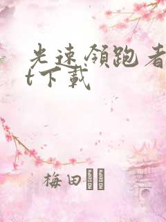 光速领跑者txt下载