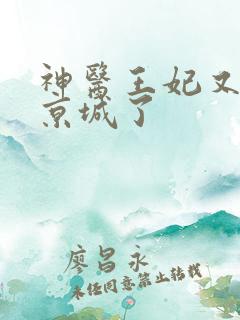 神医王妃又轰动京城了