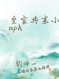 皇家共享小公主nph