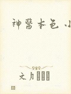 神医本色 小说