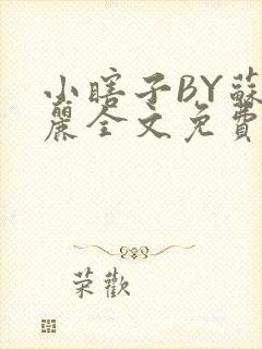 小瞎子BY苏玛丽全文免费笔趣阁