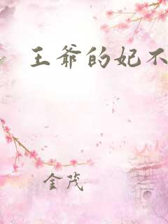 王爷的妃不是妃