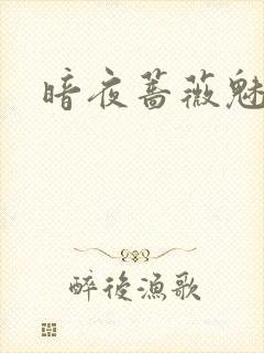 暗夜蔷薇魅之伤
