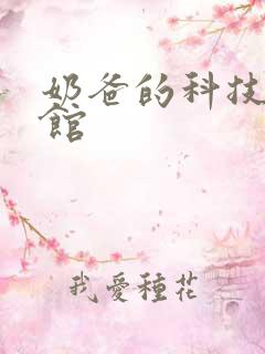 奶爸的科技武道馆
