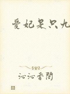 爱妃是只九尾猫