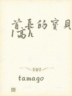 首长的宝贝1v1高h